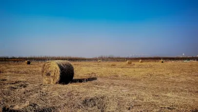 Kasino Lucky Pants Bingo Mobilná aplikácia